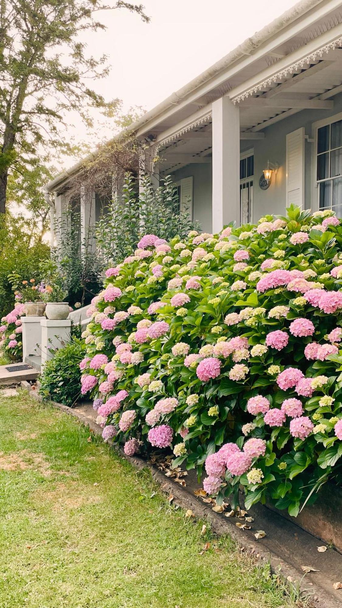 Rosehaven Cottage Swellendam Zewnętrze zdjęcie