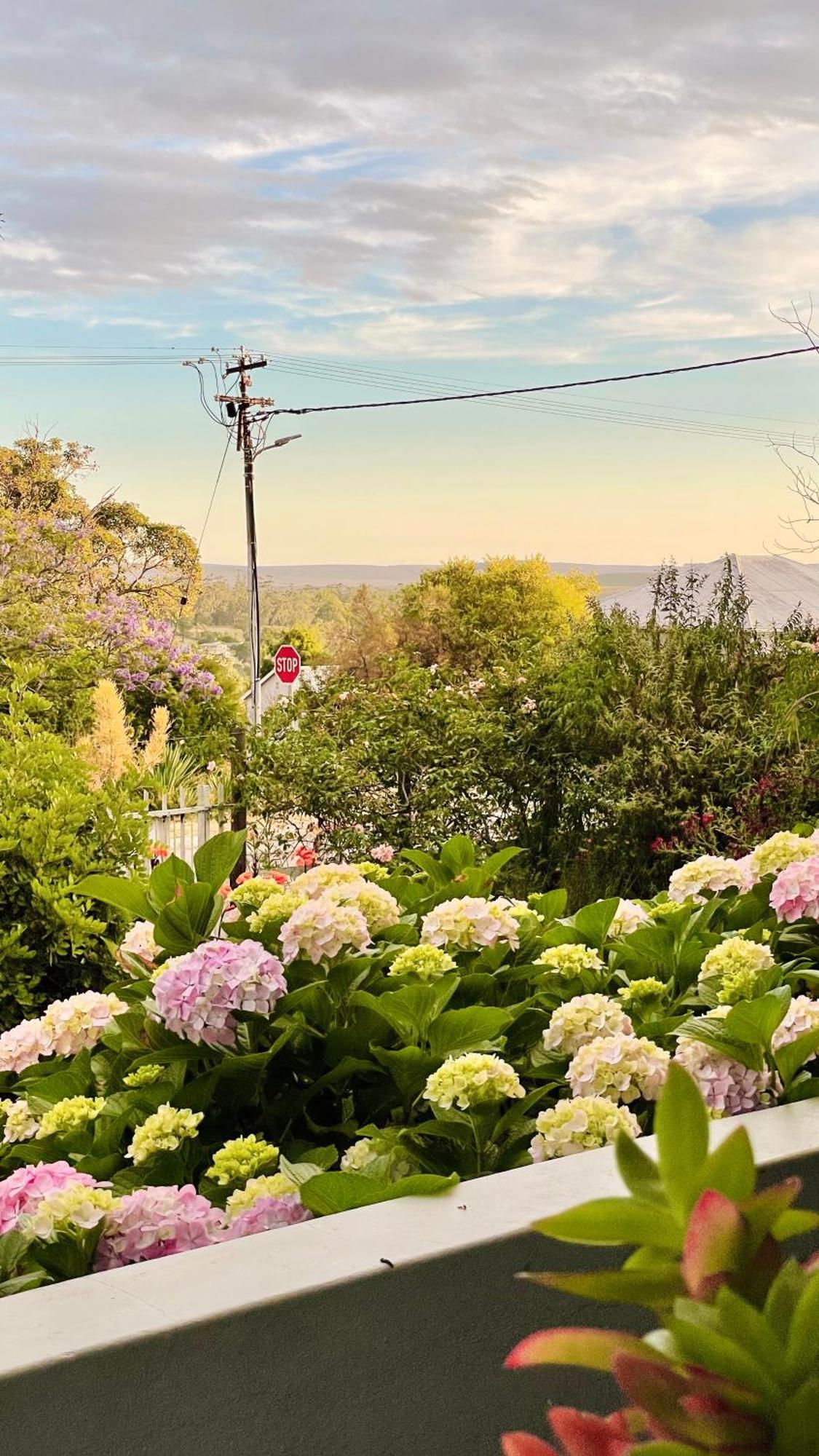 Rosehaven Cottage Swellendam Zewnętrze zdjęcie